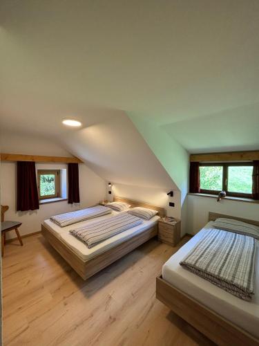 a bedroom with two beds in a attic at Ciasa Alfri in La Villa