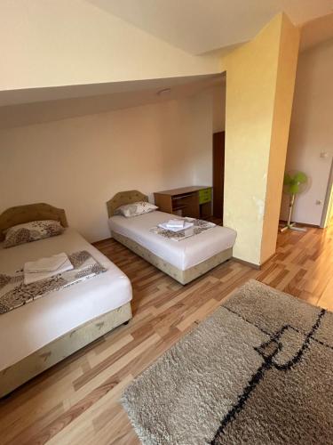 two beds in a room with a rug at Apartman Savo in Kotor