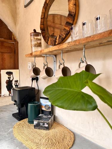 a room with a tv and a mirror and a plant at Jambiani Kite Lodge in Jambiani