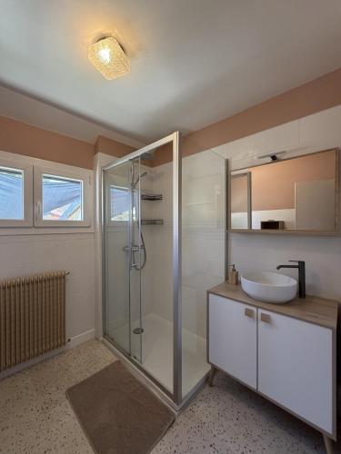 a bathroom with a shower and a sink at Mon petit cocon Seurrois in Seurre