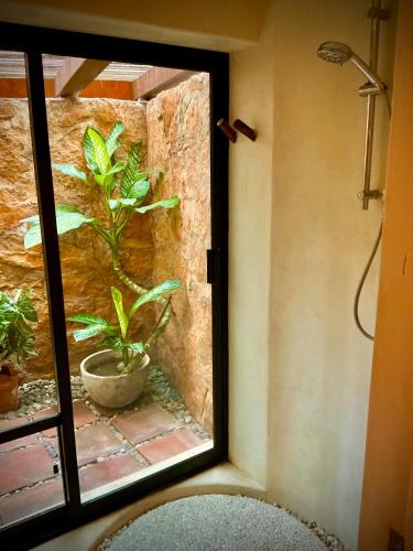a window in a room with a potted plant at 1 bdrm condo, Manzanillo Bay, Troncones in Troncones