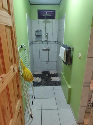 a bathroom with a shower in a green wall at Studio Zen Attitude à 10 minutes des belles plages in Le Marin