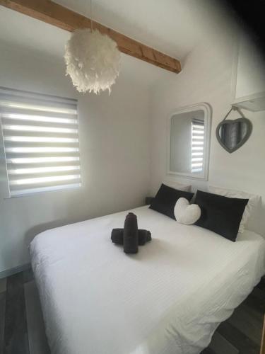Duplex sur Marinas Cap d'Agde photo 23
