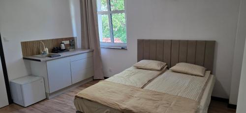 a bedroom with a bed and a sink and a window at Turystyczna 9 apartamenty & cafe in Sobótka