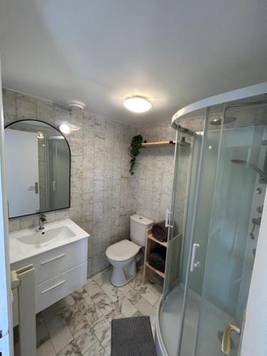 a bathroom with a toilet and a sink and a shower at Chez Raka in Hyères