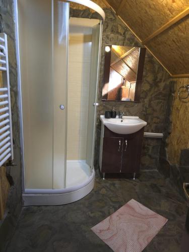 a bathroom with a shower and a sink at Cabana Magdalena in Câmpulung