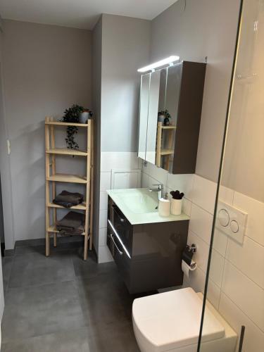 a bathroom with a sink and a toilet and a mirror at Fachwerk FeWo Schoningen in Uslar