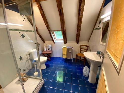 a bathroom with a shower and a toilet and a sink at Château de Lescure in Saint-Martin-sous-Vigouroux