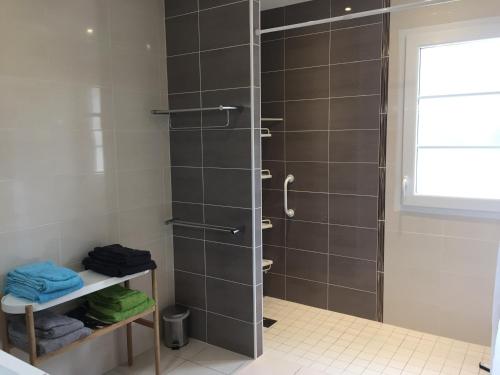 W łazience znajduje się prysznic ze szklanymi drzwiami. w obiekcie Gîte de Roches Toucan w mieście Seigy