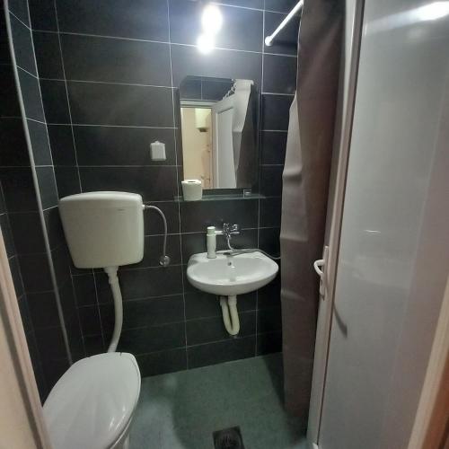 a small bathroom with a toilet and a sink at Sky Apartments Petrovac in Petrovac na Moru