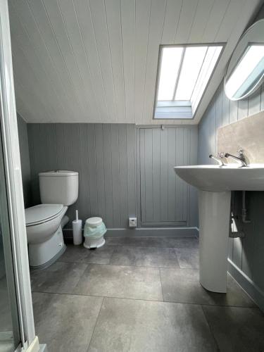 a bathroom with a toilet and a sink and a window at Victoria Inn in Alston