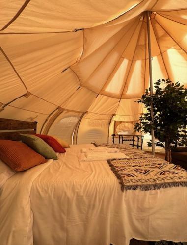 a large tent with a bed in a room at Prairie Junction Glamping Tent in Stettler