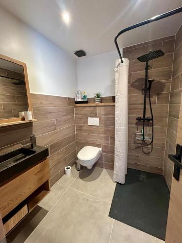 a bathroom with a toilet and a shower and a sink at Studio le Replat in Aime-La Plagne