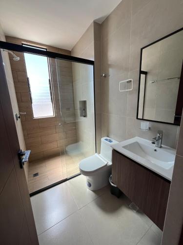 a bathroom with a toilet and a sink and a shower at Monoambiente Amplio in Tarija