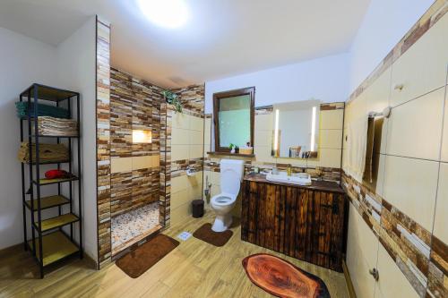 a bathroom with a toilet and a sink at Czirják Kulcsosház in Bucsin