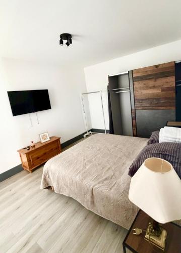 a bedroom with a bed and a flat screen tv at Max Wittelsheim in Wittelsheim