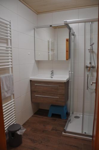 a bathroom with a sink and a shower with a mirror at Ferienhof Berger in Rossleithen