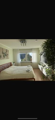 a bedroom with a bed and a large window at Ferienoase am See in Möhnesee