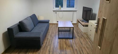 a living room with a blue couch and a tv at Baltic Rooms Gdańsk in Skorka