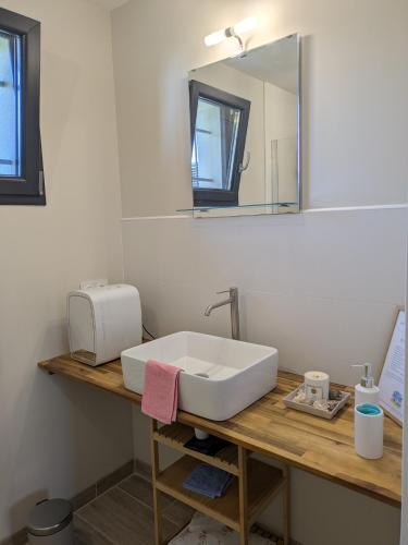 a bathroom with a white sink and a mirror at Les Pignottes in Gujan-Mestras
