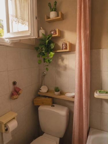 a small bathroom with a toilet and a window at Kikas Stone House in Ávaton