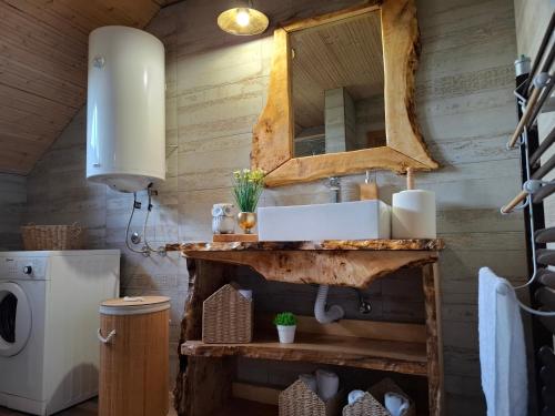 a bathroom with a sink and a mirror at Lukin salaš broj 3 in Ratkovo