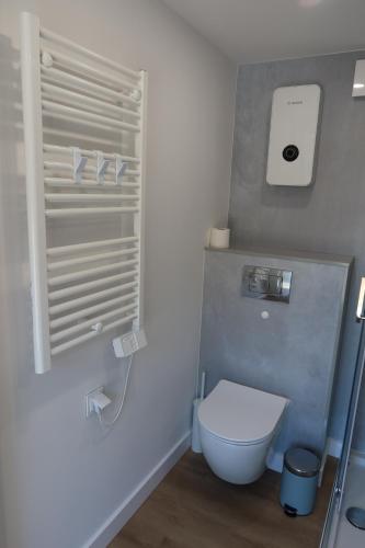 a bathroom with a white toilet in a room at Domki Paradise Charzykowy in Charzykowy