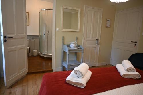 a bathroom with two towels on a red rug at Chambre d'Hôtes Le Moulin Bertrand in Saint-Martin-de-Ribérac