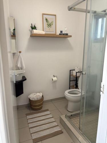 a bathroom with a toilet and a glass shower at M&M Nest in Windhoek