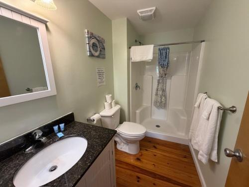 a bathroom with a sink and a toilet and a shower at Lake Access Retreat Pet Friendly Fire Pit in Geneva
