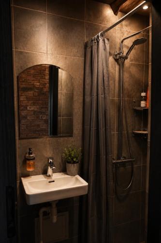 a bathroom with a sink and a shower at Piparmētras in Mērsrags