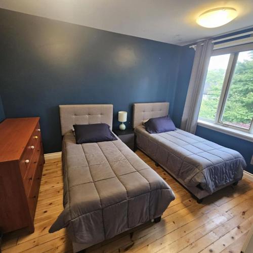 two beds in a room with blue walls at Location Location Location in Stratford