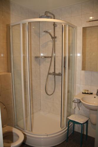 a bathroom with a shower and a toilet and a sink at Het Wapen van Elst in Elst