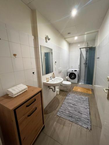 a bathroom with a sink and a toilet and a shower at Ebram Apartments Görlitz in Görlitz