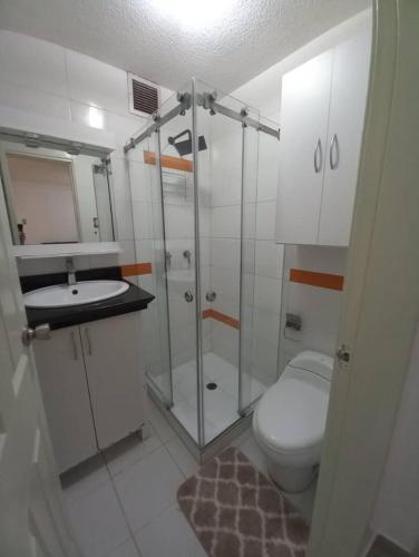 a bathroom with a shower and a toilet and a sink at Great for Relaxing in SC in San Cristóbal