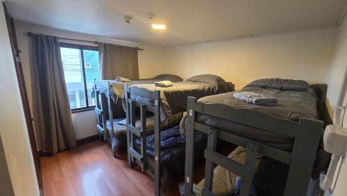 a room with three bunk beds and a window at Torre al Sur in Ushuaia