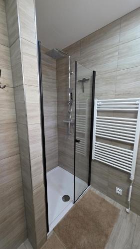 a shower with a glass door in a bathroom at Apartmán U splavu Luhačovice in Luhačovice