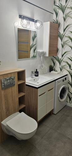 a bathroom with a toilet and a washing machine at Andersena 43 Ząbki in Ząbki