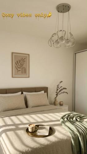 a bedroom with a bed with a tray on it at Tirana, Beautifull Apartament Near Mother Teresa Int Airport in Tirana