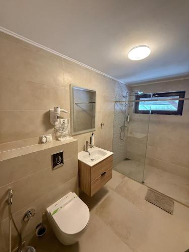 a bathroom with a toilet and a sink and a shower at Pensiunea AN de AN Remeti in Remeţi
