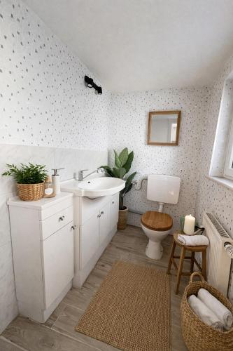 a bathroom with a sink and a toilet at Wohnhaus mit besonderer Ausstrahlung in Bad Frankenhausen