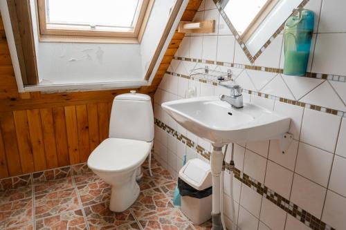 a bathroom with a toilet and a sink at Rõuge Suurjärve Külalistemaja in Rõuge