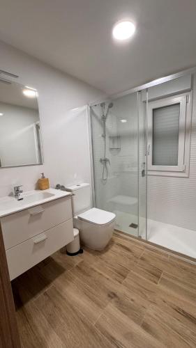 a bathroom with a shower and a toilet and a sink at AuraGalega Sagres in Ribeira