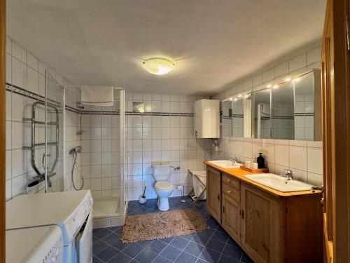 a bathroom with a toilet and a sink and a shower at Weinkellerurlaub Röschitz in Roggendorf