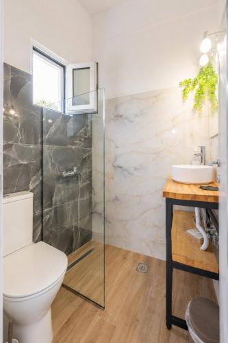a bathroom with a toilet and a sink at Karavaki apartments in Keri