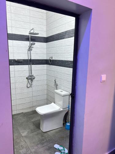 a bathroom with a toilet and a shower at Apartment Luxueux a Cité Apix in Niadyorane