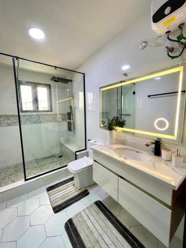 a bathroom with a sink and a toilet and a shower at Luxurious Altitude in Lekki
