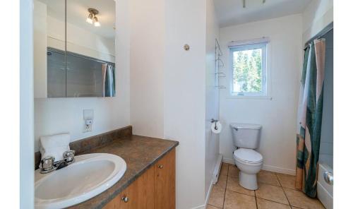 a bathroom with a sink and a toilet at Bleuzen appartement du haut in Petite-Rivière-Saint-François
