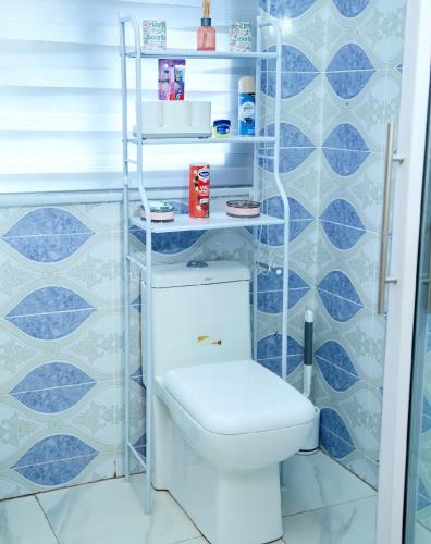 a bathroom with a toilet and blue tiles at Mirai Apartments in Harare