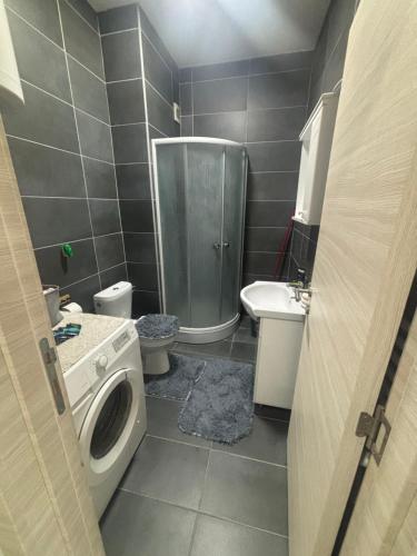 a bathroom with a shower and a toilet and a sink at Kapije Uba 51 in Ub